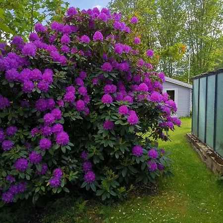 Ferienwohnung Harzelfe - A46583 Apartament